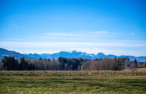 ChiemseeBlick - Foto 28