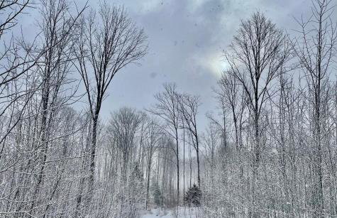 Timberwolf Lodge - Foto 14