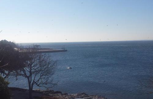 Sea apartment by beach Vine, olive oil tasting, kajaks, grill - Photo 78