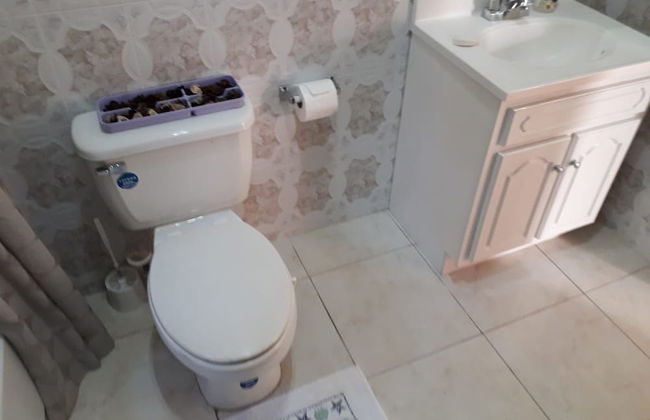 Rose View Apartment Montego Bay - Foto 11