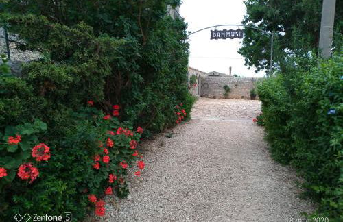 I Dammusi - Foto 46