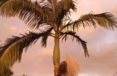 Recanto da Frida - Foto 21