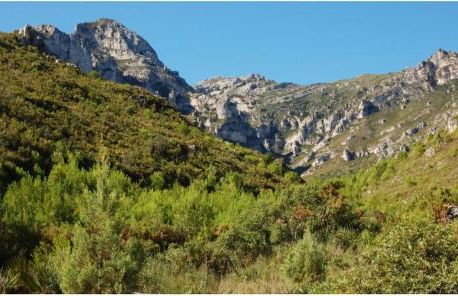 Casa Almendra - Foto 27