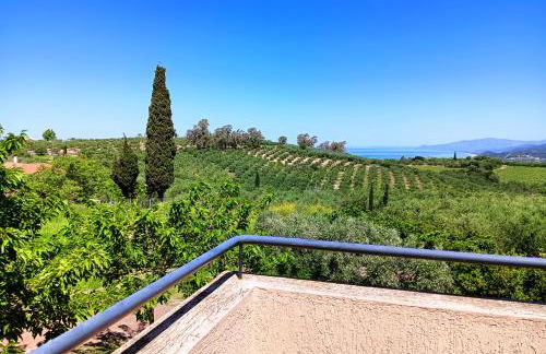 Villa Elaia - Foto 44