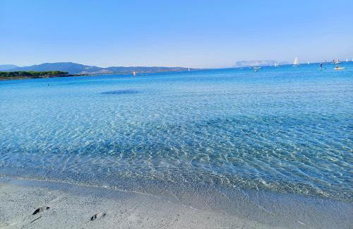 Frank's Home - Foto 22