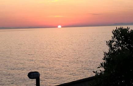 Cota Quinta - Foto 12