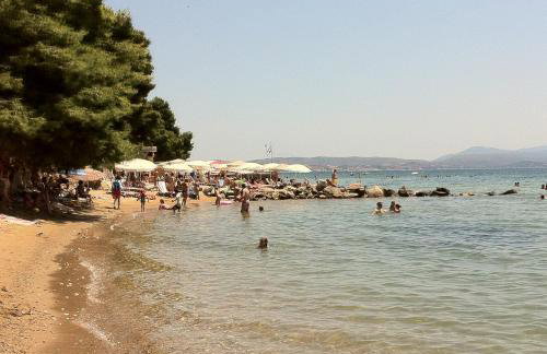 Loxandra Studios - Foto 56