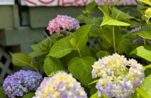 Mountain Lake Cottages - Foto 55