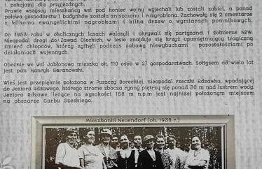 Jabłkowo-na skraju Puszczy Boreckiej ŚNIADANIA W CENIE - Foto 9