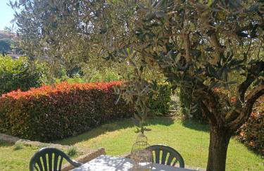 L'Olivo nel Chianti - Photo 18