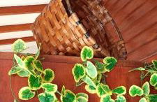 Chalet céntrico costero en Gijón - Foto 22