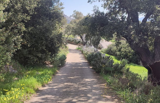 Il nuraghe - Foto 64