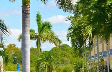 Beach Condo - Photo 60