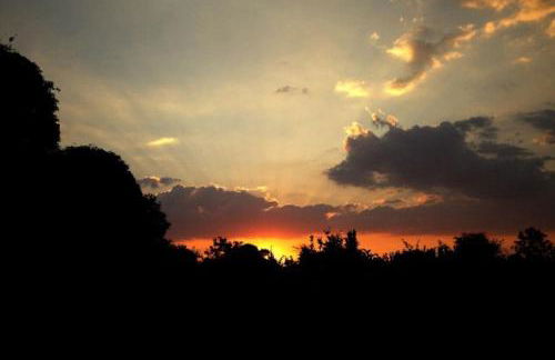 The Garden View - Photo 21