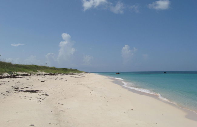 Buttonwood Reserve 1B - Foto 36