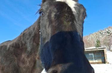 Idzikowianka - Foto 17