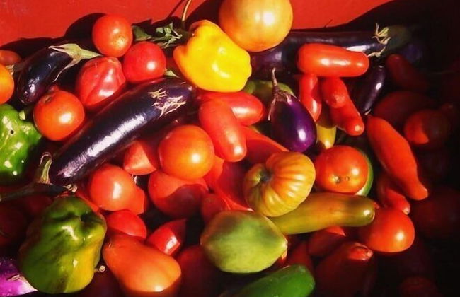 Agriturismo Terre Vineate - Foto 31