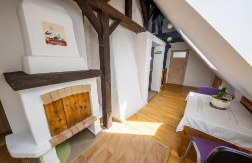 Żywkowo Bocianie Gospodarstwo Rolne - Foto 4