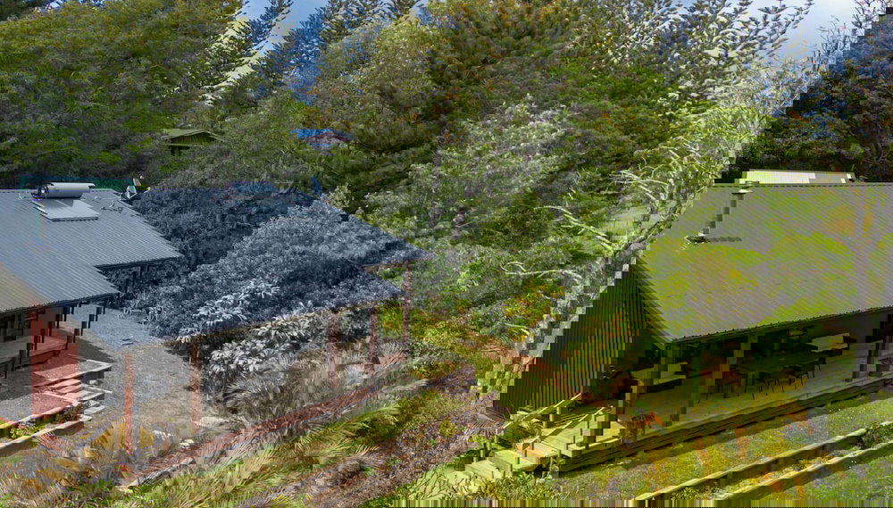 The Palms - Foto 1, Imagem principal