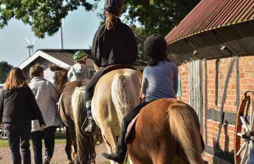 504 Stallgeflüster - Foto 35