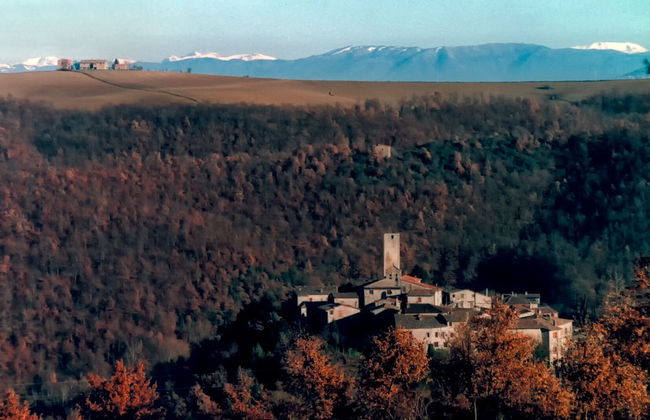 Agriturismo Casa Greppo - Il Noce - Foto 55