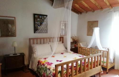 Agriturismo Podere Tegline - Foto 32