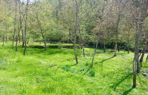 Casa Vacanze MULINO DI VALIANA - Foto 18