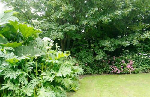 Le Cottage - Foto 17