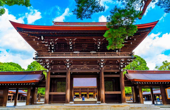 Tokyo Private Walking Tour - Foto 4