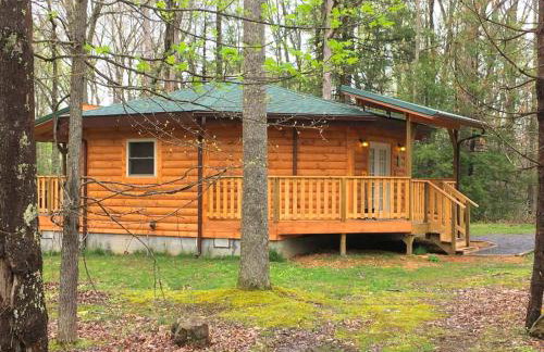 Unique Wooden Yurt Rental for a Vacation near Beckley, West Virginia - Foto 6