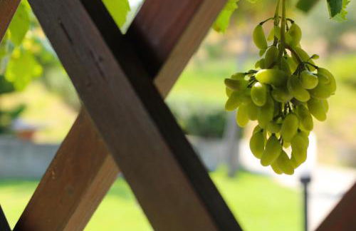 Agriturismo Vulcano - Foto 108