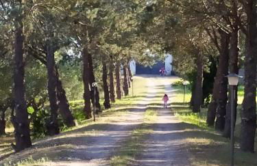 Casina nel Salento - Foto 6