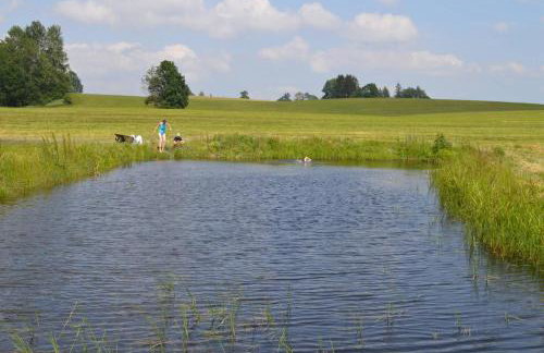 Agroturystyka Dzikie Stawy-Mazury - Foto 13