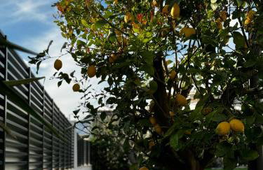 Villa Margita - Foto 53