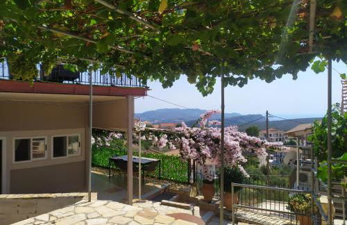 Agnadema House - Photo 26