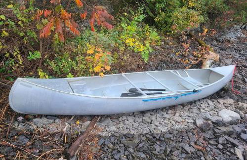 Loza house adirondack screened-in porch unit lake front - Foto 46