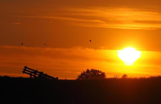 Nice Holiday Home With Sauna Near a Lake - Foto 21