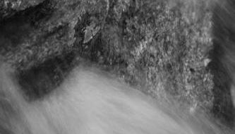 As Casinhas de Loureda - Foto 5