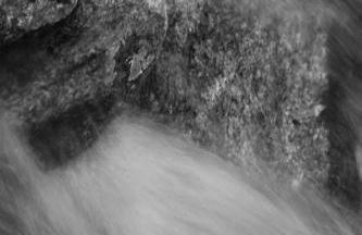 As Casinhas de Loureda - Foto 5