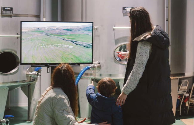 Visite du moulin à huile Hejul avec dégustation - Photo 10