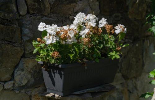 Apartments Srdanovic - Photo 45