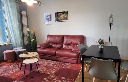 Appartements de Diane - JOIGNY - Foto 19