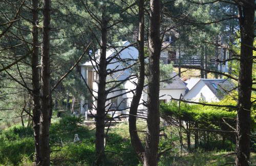 La villa dans les pins - Photo 18