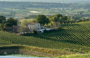 Podere Mantignano 2 - Foto 38