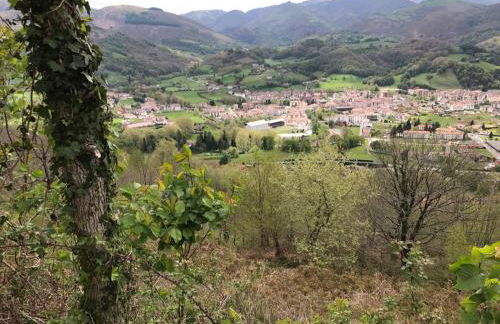 Apartamento Nuevo Baztan - Foto 8