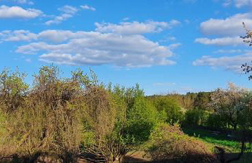 gemütliche Ferienwohnung in Seenähe - Foto 28
