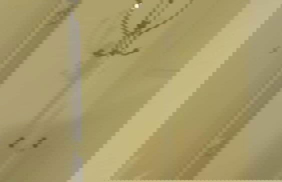 Central Antique Apartments - Foto 16