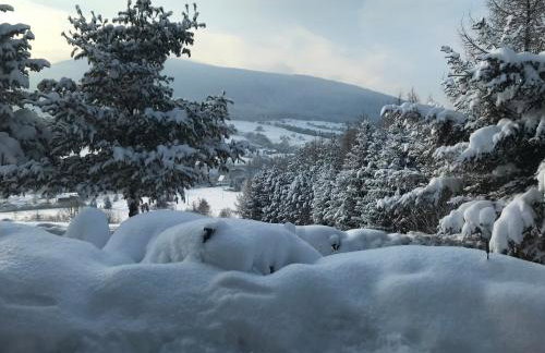 Zielony Dom - Foto 16