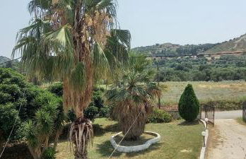 SPIROS HOME - Foto 11