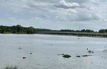 Unwind and Relax 4 Bedroom Stay - Foto 72